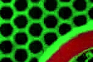 imagine nyssa nevers bent over taking strapon doggystyle at office