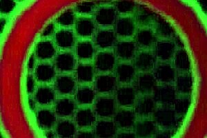 salacious sara jay slurps moe johnson's throbbing bbc deep