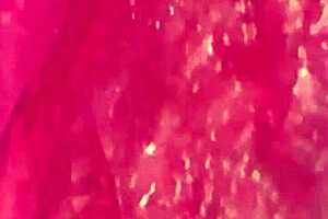 Virgin Japanese Girlfriend Proves It Close-Up: Shaved Wet Pussy Licked for New Year's Worldwide Proof