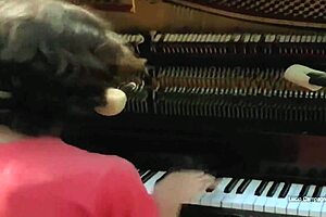 Sui generis performs cancion para mi muerte live