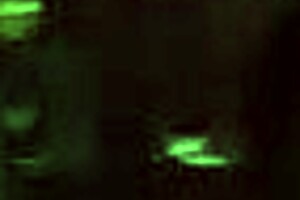 Monika Fox Trains Milan Milka in BDSM Hardcore Threesome