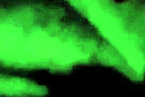 escondidos no busão bati punheta pra firegreen2 com tetas enormes latina 🔥🍆🚌