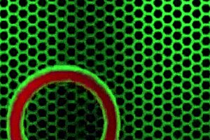 sexy redhead therapist penny pax licks fat milf pussy!