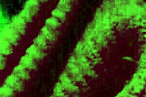 italian big tits milf artemisia love bounces natural boobs solo at night