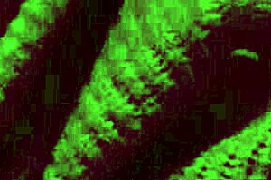 italian big tits milf artemisia love bounces natural boobs solo at night