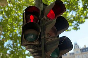 this nda changes everything—angelica heart tempts as your cto, free tease