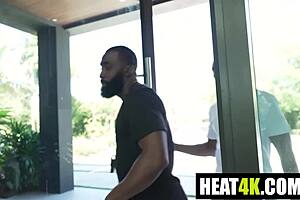 A Harley Quinn Parody Stars Cory Chase Ace Bigs Don Sudan