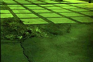 Milf Dominates Teen With Monster Cock In Extreme BDSM Hardcore Session