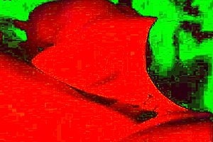 suck it bitch this pawg slut swallows every drop in pov quickie blowjob