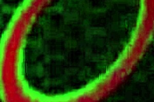 sara jay squirts everywhere making chase ryder lick her big titted milf mess