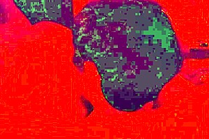 cock hungry bbw milf sucks strokes n swallows close up! 💦😛