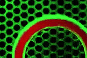 Sienna sucks big cock deep first. Then tits bounce wildly in pounding cowgirl.