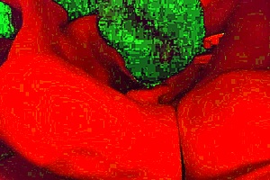 cock hungry bbw milf sucks strokes n swallows close up! 💦😛