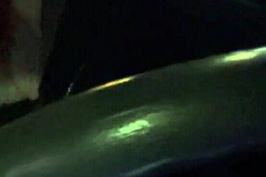 italian milf artemisia love flashes big tits driving 🚗🍈