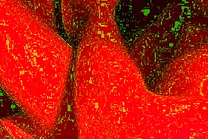 Obedient whore, swallow my load blindfolded asmr?