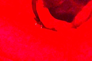 Obedient whore, swallow my load blindfolded asmr?