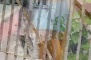 brazilian milf flashes wet tiny top at wild carnival party fuck