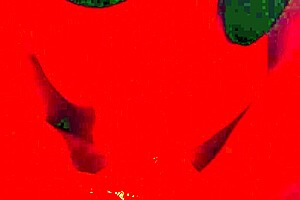 wanna see this intimate close-up milf blowjob quickie?