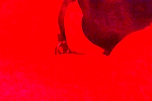 Obedient whore, swallow my load blindfolded asmr?