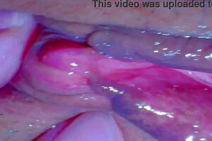 amateur shaved pussy closeup 230 days post virginity loss
