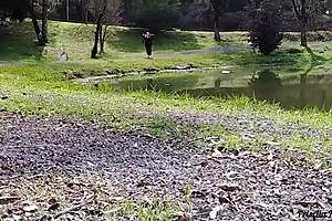 strolling with stepmom she loves public flashing tease