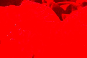 wife masters cock sucking side view deepthroat swallow