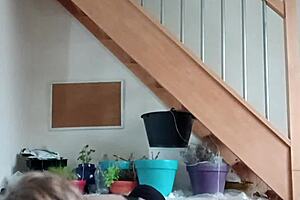 french femdom slave bound handcuffed at office desk