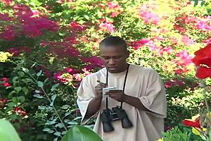 ebony stud's monster cock gapes kayla quinn's phat white ass