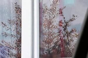 hey watch this hot milf strip naked in taxi no panties hairy pussy out