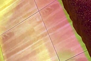 Why take my fat secretary to hotel instead of her husband's bed?