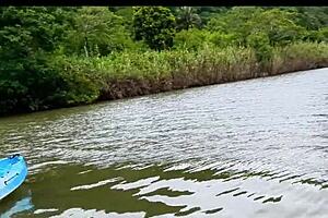 Jungle Bikini Bubbles And Exotic Ebony Views