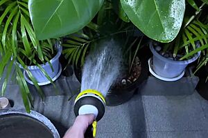 unfaithful curvy wife cheats suckin staff cock heels bedroom cowgirl missionary cum mouth?