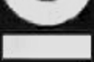 Abricoff's Wet T-Shirt Lingerie Exhibitionists!