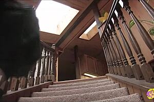 Experienced Milf Drags Web Designer Into Intense Lesbian Toy Pounding