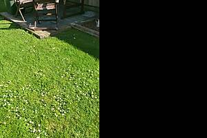 Drunk trashy slut spits, pisses on grass before master toe fucks her hard?