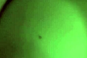 Italian Big Tits MILF Artemisia Love Bounces Juicy Natural Tits Seductively