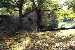 german blonde milf risky outdoor public doggystyle neighbors swingers pov