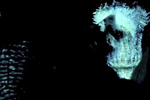 Victorian gentleman's erotic confessions reveal hairy milf sins