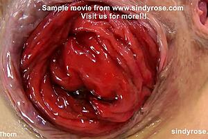 sindy rose stuffs huge bottle deep in her prolapsing anal hole wearing red dress