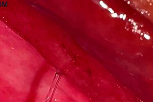 Pink Hymen Clit and Untouched Shaved Pussy Confirmed Up Close