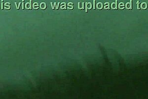 public beach walk flashing bright tail buttplug to strangers