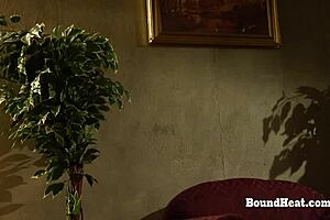 doctor spies on mistress slave lesbian bed play