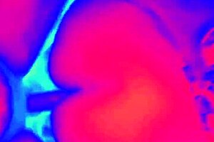 miya triez the slutty wife cuckolding her corno, ready to watch her get wrecked?