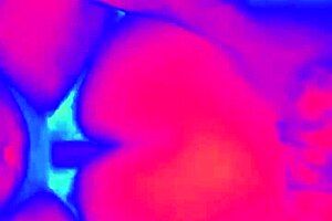 miya triez the slutty wife cuckolding her corno, ready to watch her get wrecked?