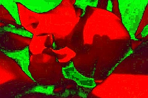 extreme close-up blowjob explodes in her fat wife's cum-filled mouth