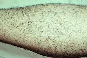 omg i love fucking my bbw muslim stepmom's hairy pussy and legs