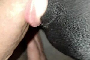 Maitresse K Bound Outdoor Delta BDSM Slave Whore Face Fucked Hard