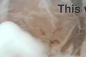 20YO Virgin's Shaved Pussy Soaks Wet Tissue Paper!