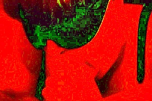He came on my face during bbw blowjob